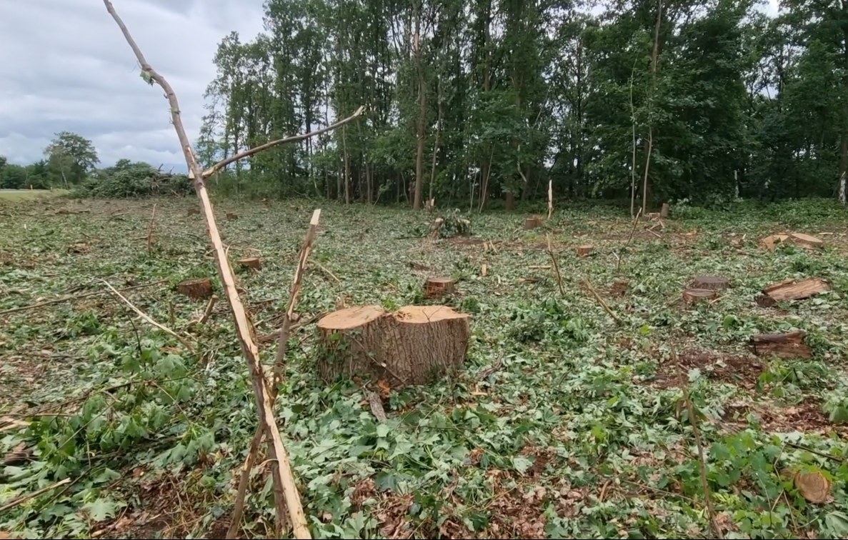 Waldstueck kaputt 29052022_6.jpg